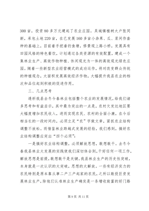 关于XX县大力发展林业生产全面激活农村经济的实践与思考.docx