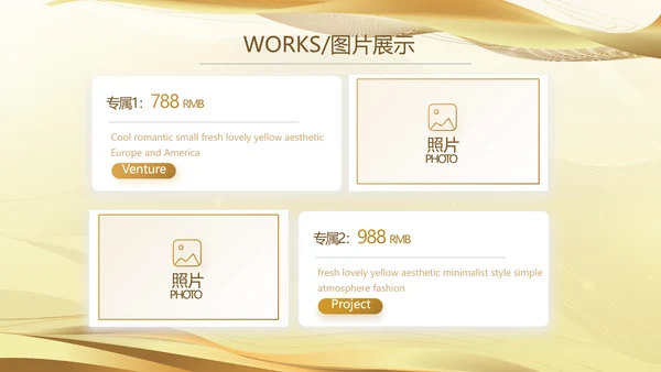 金色高档公司产品介绍宣传通用PPT动态模板