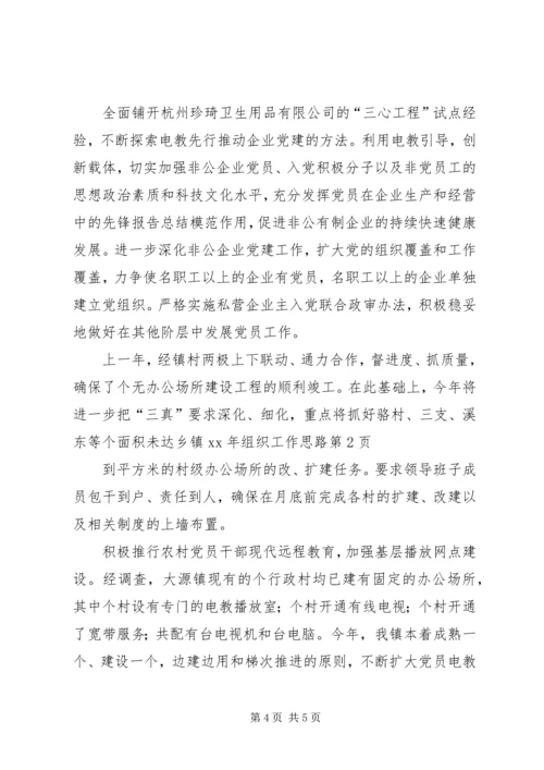 乡镇某年组织工作思路.docx