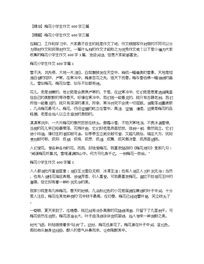 【精华】梅花小学生作文400字三篇