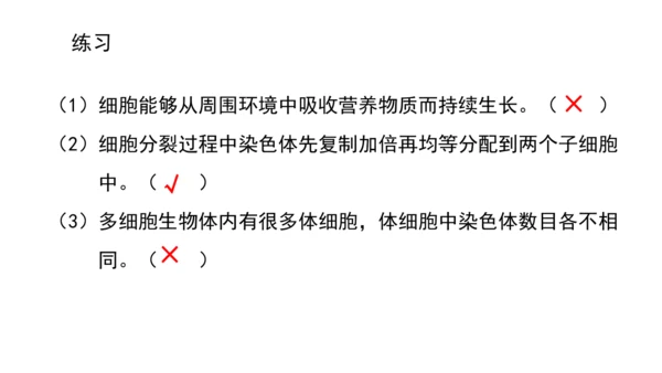 人教版（2024）七年级上册1.3.1细胞通过分裂产生新细胞 课件(共19张PPT)