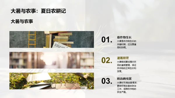 大暑生活指南