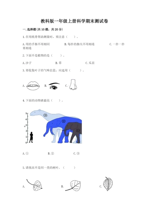 教科版一年级上册科学期末测试卷a4版打印.docx