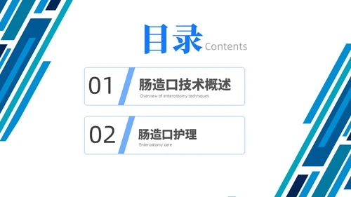 简约风线条风商务风肠造口护理医学护士培训PPT课件护理查房