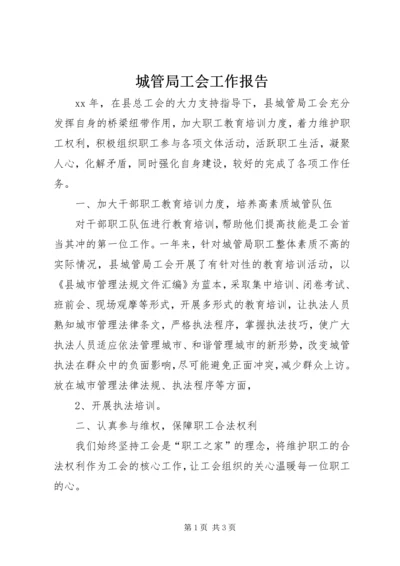 城管局工会工作报告.docx