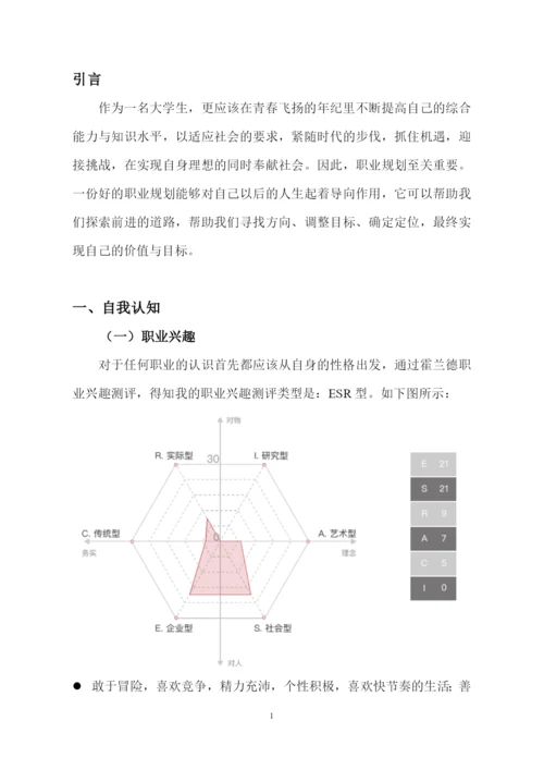12页4100字会计专业职业生涯规划.docx