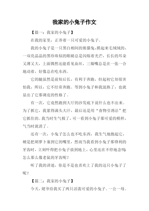 我家的小兔子作文.docx