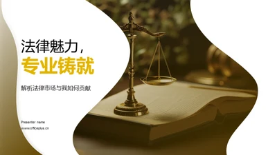 法律魅力，专业铸就