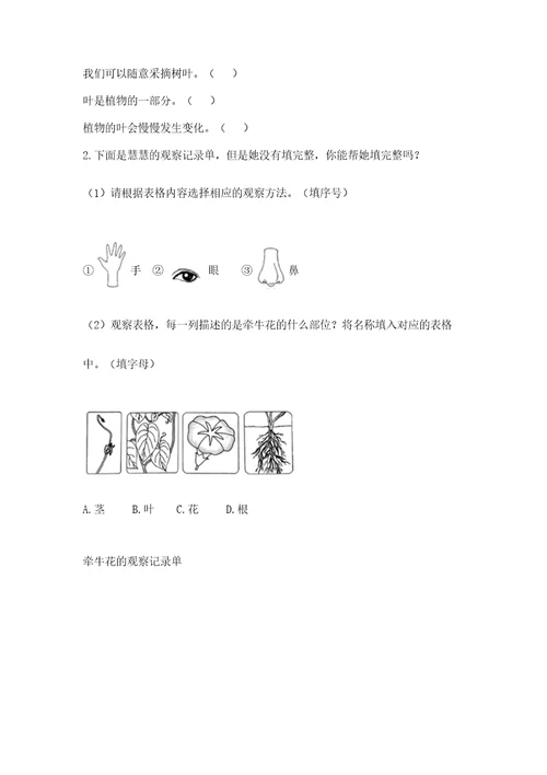 （完整版）教科版一年级上册科学期末测试卷（模拟题）