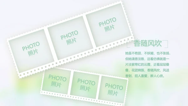 致青春毕业季大学毕业纪念册电子相册动态PPT