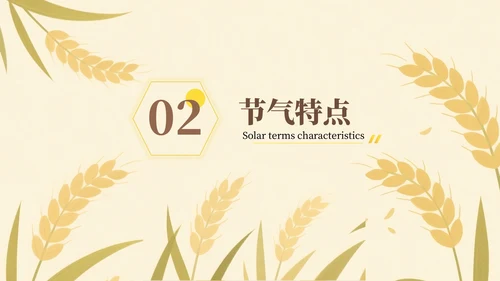 黄色芒种节气介绍通用PPT模板