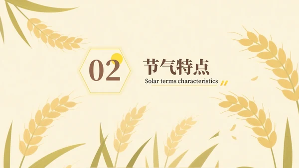 黄色芒种节气介绍通用PPT模板