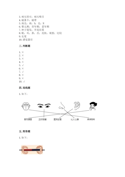 教科版小学科学二年级下册期末测试卷【基础题】.docx