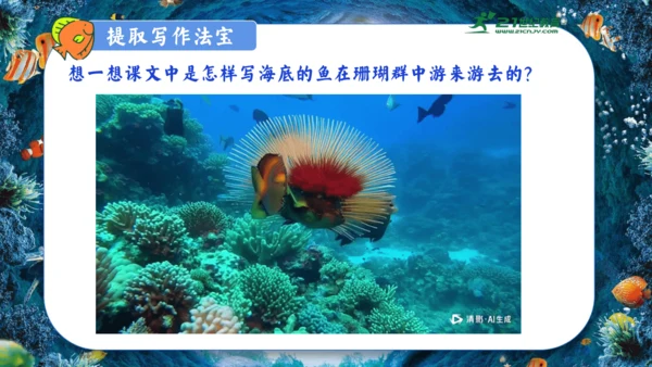 18.富饶的西沙群岛  课件