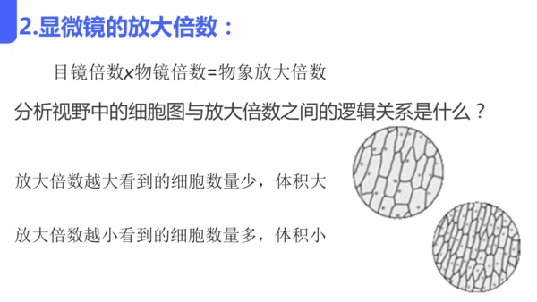 人教版（2024）七年级上册1.2.1 学习使用显微镜 课件(共29张PPT)