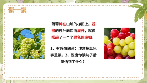 部编版语文二年级上册第十一课《葡萄沟》课件
