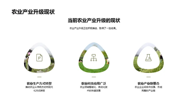 农业科技革新