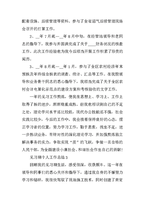 见习期个人工作总结报告范文8篇