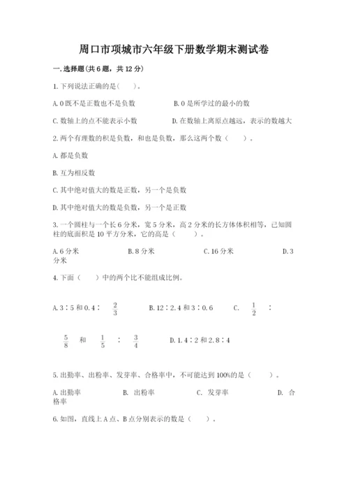 周口市项城市六年级下册数学期末测试卷完整.docx