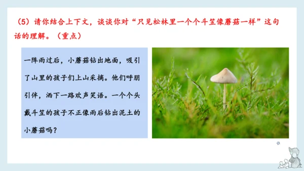 部编版语文三年级下册第六单元知识梳理  课件