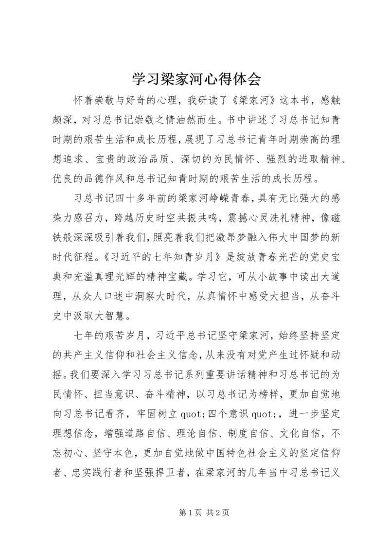 学习梁家河心得体会 (2).docx