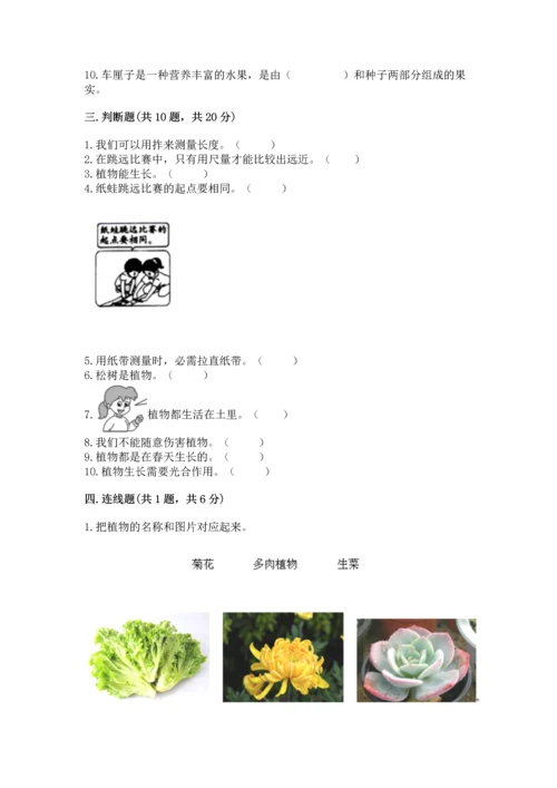 教科版一年级上册科学期末测试卷带答案ab卷.docx