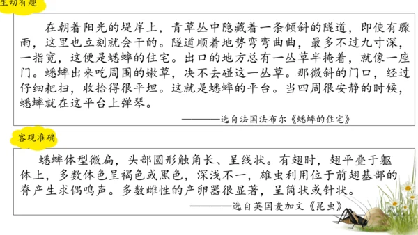 11 蟋蟀的住宅（课件）