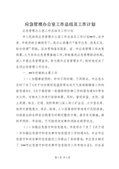 应急管理办公室工作总结及工作计划 (8).docx