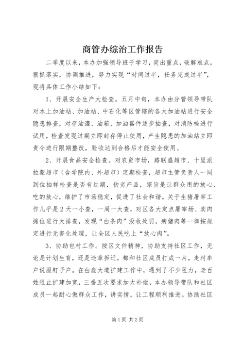 商管办综治工作报告.docx