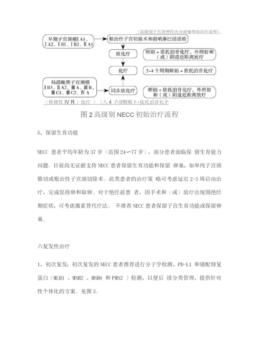 2022子宫颈神经内分泌癌诊断与治疗专家指导意见.docx