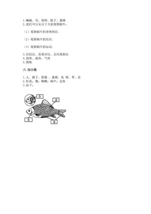 教科版一年级下册科学期末测试卷【易错题】.docx