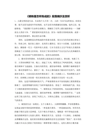 《钢铁是怎样炼成的》段落摘抄及赏析.docx