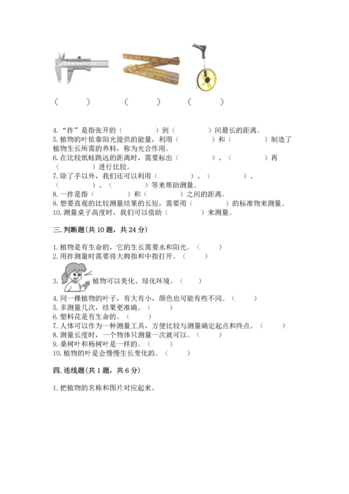 教科版一年级上册科学期末测试卷精品【典优】.docx