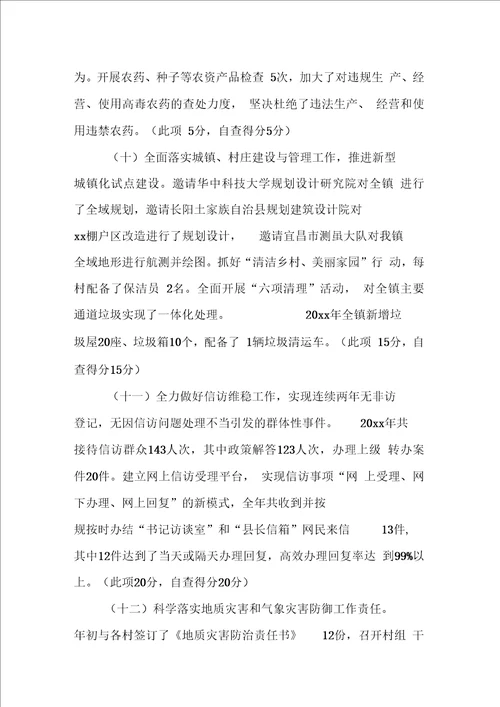 乡镇综合目标管理责任制执行情况自查报告