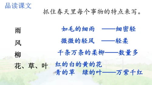 2 燕子   课件
