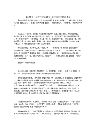 2020第一场雪作文300字 五年级作文精选5篇