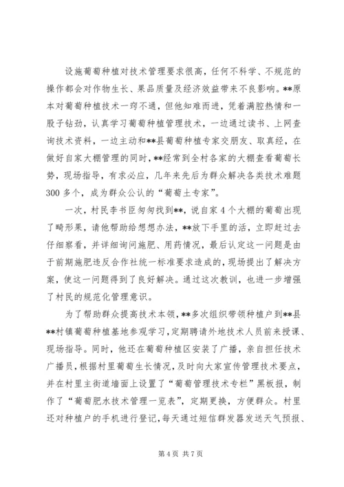 村党支部书记个人事迹材料 (4).docx