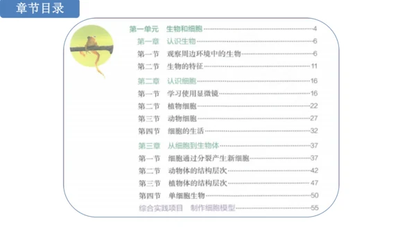 人教版生物七年级上册第一单元《生物与细胞》单元复习课件(共53张PPT)