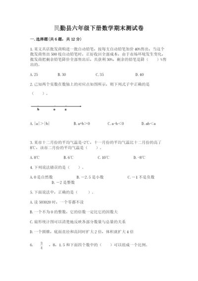 民勤县六年级下册数学期末测试卷（典优）.docx