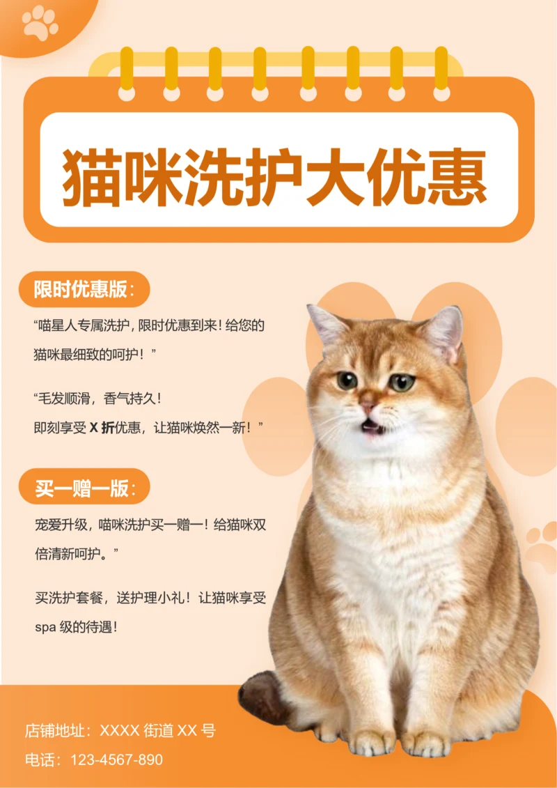 扁平风猫咪洗护产品宣传