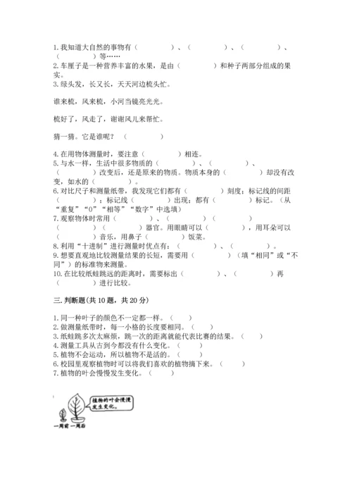 教科版一年级上册科学期末测试卷及参考答案ab卷.docx