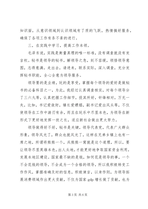 乡镇政府办公室秘书个人工作总结范文.docx