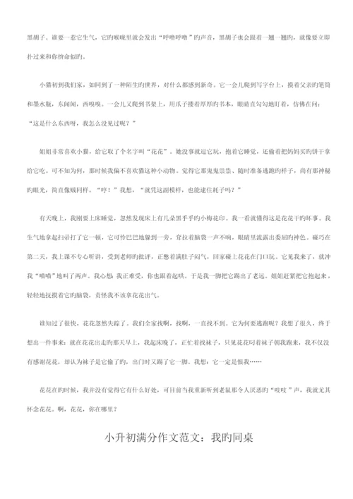 2023年小升初满分作文优质资料.docx