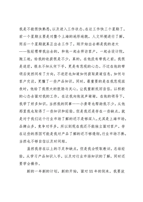 公司新员工年终工作总结(共5页)