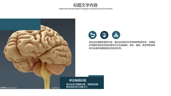 医学医疗大脑研究报告ppt动态模板
