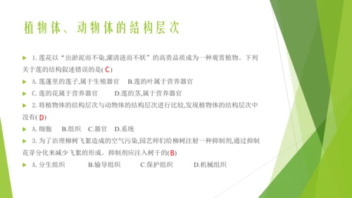 人教版生物七年级上册期中复习课件(共19张PPT)