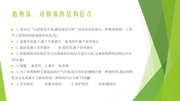 人教版生物七年级上册期中复习课件(共19张PPT)