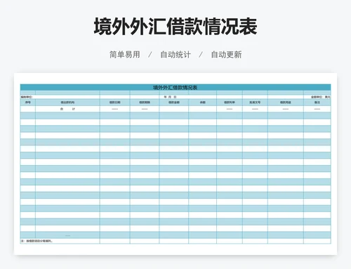 境外外汇借款情况表