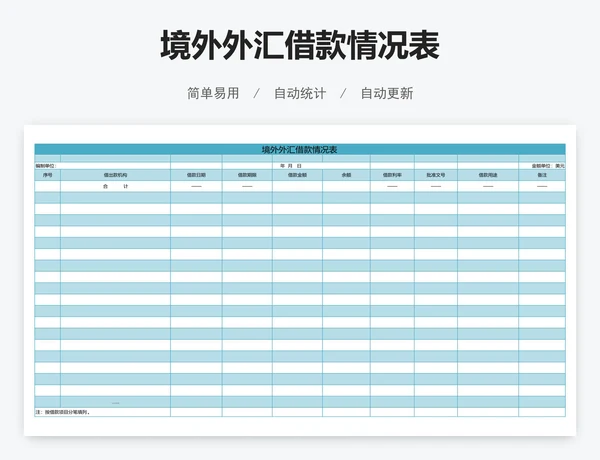 境外外汇借款情况表