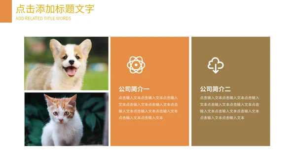 可爱宠物店猫猫狗狗通用PPT模板